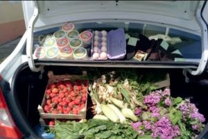   Produse alimentare provenite din România au provocat un scandal într-o localitate din provincia Napoli. Ce a determinat oficialităţile să distrugă marfa 
