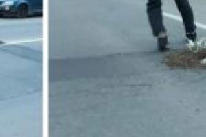 Flori peste gropile Lugojului! Șoferii municipiului timişean au ales o formă inedită de protest faţă de starea drumurilor