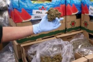 Un român prins cu 200 de kilograme de marijuana în camion a beneficiat de clemenţa judecătorilor germani