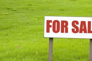 De vânzare şase loturi de teren din zona Aeroportului “Transilvania”!