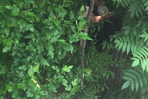 După blocuri, băieţii “bagă inhalante”…