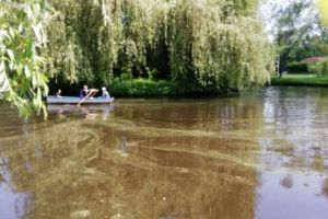 Cu bărcile prin Ştrand, AVENTURĂ printre alge şi mătasea broaştei