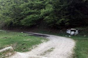 ACUM – Au dat nas în nas cu URSUL la Sălătrucu