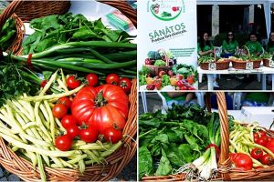 FOTO. Legume de sezon, muncite de tinerii străzii, la Satu Mare