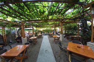 FOTO| Cea mai veche terasă de vară din Alba Iulia şi poate din judeţ: Îngheţata are savoarea anilor interbelici, iar reţeta a rămas neschimbată din perioada cofetarului Katz!