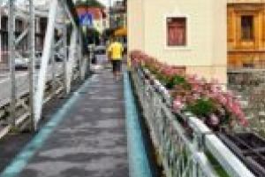 Hoţi de nimicuri! Ce mai fură lugojenii: nisip, flori, coşuri de gunoi…