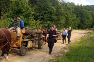 Căruţaţi amendaţi de jandarmi la Valea Corbului