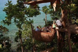 FOTO Restaurant unic în lume – Este construit într-un eucalipt