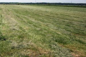 Oficiul de Cadastru şi Publicitate Imobiliară Botoşani anunţă lucrări de cadastru în mai multe comune