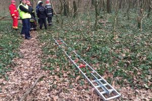 Cadavru în stare avansată de putrefacţie, descoperit de un trecător la Pădurea Verde