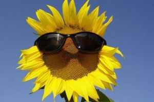 Cum va fi VREMEA în vara anului 2019. Prognoza meteo pentru intervalul iunie-august, publicată de ANM