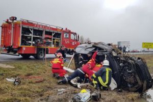 A LOVIT tot ce-a întâlnit în cale şi A MURIT!