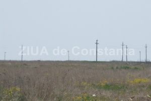 A fost solicitat aviz de mediu:  Dmyth Art SRL cere introducerea in intravilan si reglementarea unui teren. Detalii 