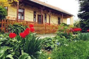 Comună din Satu Mare, numită şi „Mica Germanie”. Cum trăiesc oamenii acolo