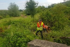 Ce mai scot la iveală viiturile: canale împădurite şi poduri care se transformă în diguri