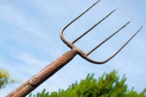 Un bărbat dintr-o comună din Alba, BĂTUT cu BESTIALITATE de un tânăr de 19 ani, în timp ce aduna lucerna din grădină: “Mi-a luat furca din mână şi m-a lovit cu ea în nas şi cap, am căzut şi a continuat să mă lovească”