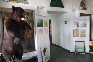 ”Ziua Porţilor Deschise” la Direcţia Silvică Suceava