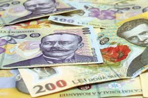 Membrii secţiilor de votare din Ploieşti îşi pot ridica indemnizaţiile