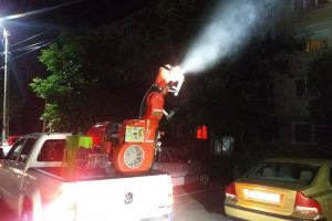 Începe dezinsecţia şi deratizarea la Deva