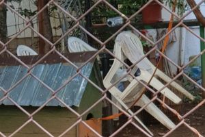 Alo, Politia! Catel maltrata in curtea unui bloc de pe strada Deltei