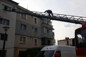 ACUM – Incendiu într-un apartament din Câmpulung