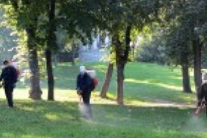 SC Salubritate Craiova SRL: Două etape de dezinsecţie pe domeniul public, în perioada 10-24 iunie