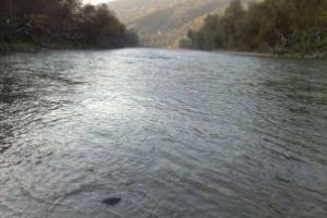 Maramures: Carausi “salvati” de raul Tisa