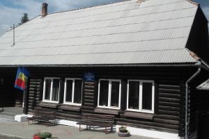 Alertă maximă în rândul poliţiştilor: doi fraţi de 8 şi 12 ani au dispărut de la Centrul de Plasament Bilbor