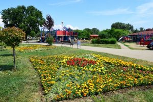 Constanta: Zeci de mii de flori urmeaza sa fie plantate in spatiul verde din Țara Piticilor 