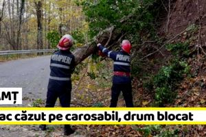 NEAMȚ: Copac căzut pe carosabil, drum blocat