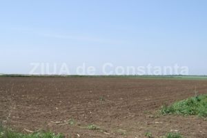 PUZ pentru reglementarea unor parcele in comuna Agigea. Investitorul a depus proiectul la Agentia de Mediu 