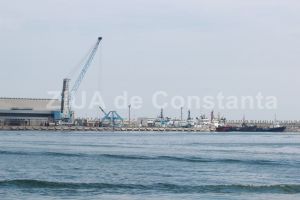 Claudia Radu, revocata din functia de administrator al firmei Sargeant Marine Romania SRL