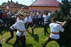 Parada cailor şi baterea armindenilor, de Rusalii, la Feldioara