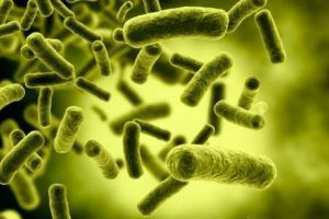 Autorităţile sunt în alertă! Apă contaminată cu o bacterie PERICULOASĂ! Se întâmplă într-un spital din România