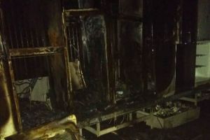 ULTIMĂ ORĂ: O hală plină cu frigidere făcută scrum de un incendiu