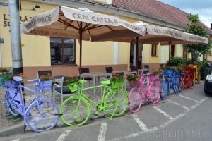 Gard cu... roţi. Decor inedit realizat de patronul lui local în Oradea