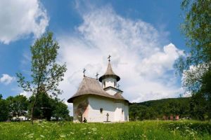 Îngrijitorul bisericii UNESCO de la Pătrăuţi, lovit de romii care voiau să bea bere în ...