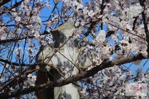 Doliu in medicina din Constanta! Un renumit doctor din familie de medici s-a stins