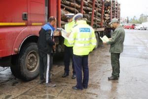 Lemn confiscat şi sancţiune pentru un şofer din comuna Vidra, surprins în ilegalitate, de poliţişti
