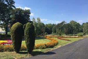 Hai la dezbaterea publică pentru viitoarea parcare subterană din Parcul Botanic!