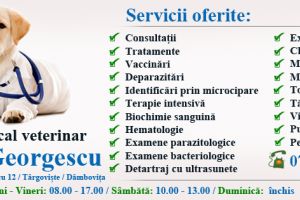 Târgovişte: Cabinetul Veterinar Dr. Alen Georgescu, de 27 de ani, are grijă de animăluţele dumneavoastră
