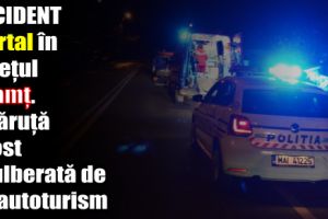 Accident mortal în judeţul Neamţ. O căruţă a fost spulberată de un autoturism