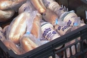 Cornuri cu mucegai la două şcoli din Târgu Mureş. Ce efect au asupra sănătăţii copiilor?