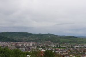 Număr mare de insecte în urma ploilor, acţiuni de dezinsecţie. Unde se intervine în Bistriţa