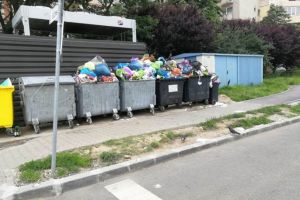 Timişoreni amendaţi pentru că nu colectează selectiv
