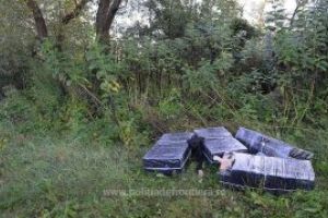 Tigari de contrabanda abandonate la Valea Viseului