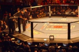 Justin Bieber şi Tom Cruise în ringul UFC!