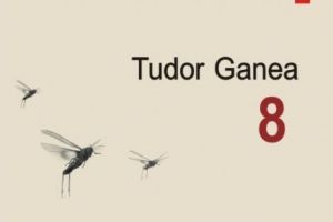 „8”. Ce se întîmplă cînd într-un sat din vecinătatea Bucureştiului un pădurar organizează orgii în dricul bisericii şi un interlop sîngeros deschide un salon de masaj erotic?