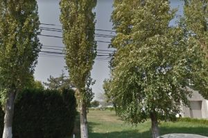 Imobil de opt etaje in Mamaia, zona Pinguin. Real Estate Investment SRL a obtinut un certificat de urbanism 