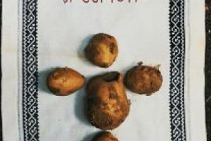 „Despre oameni şi cartofi”, expoziţie foto